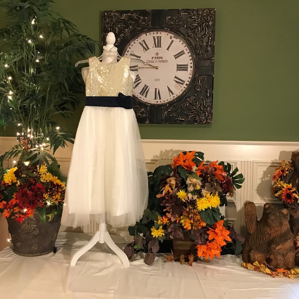 Formal kids pageant flower girl holiday dress